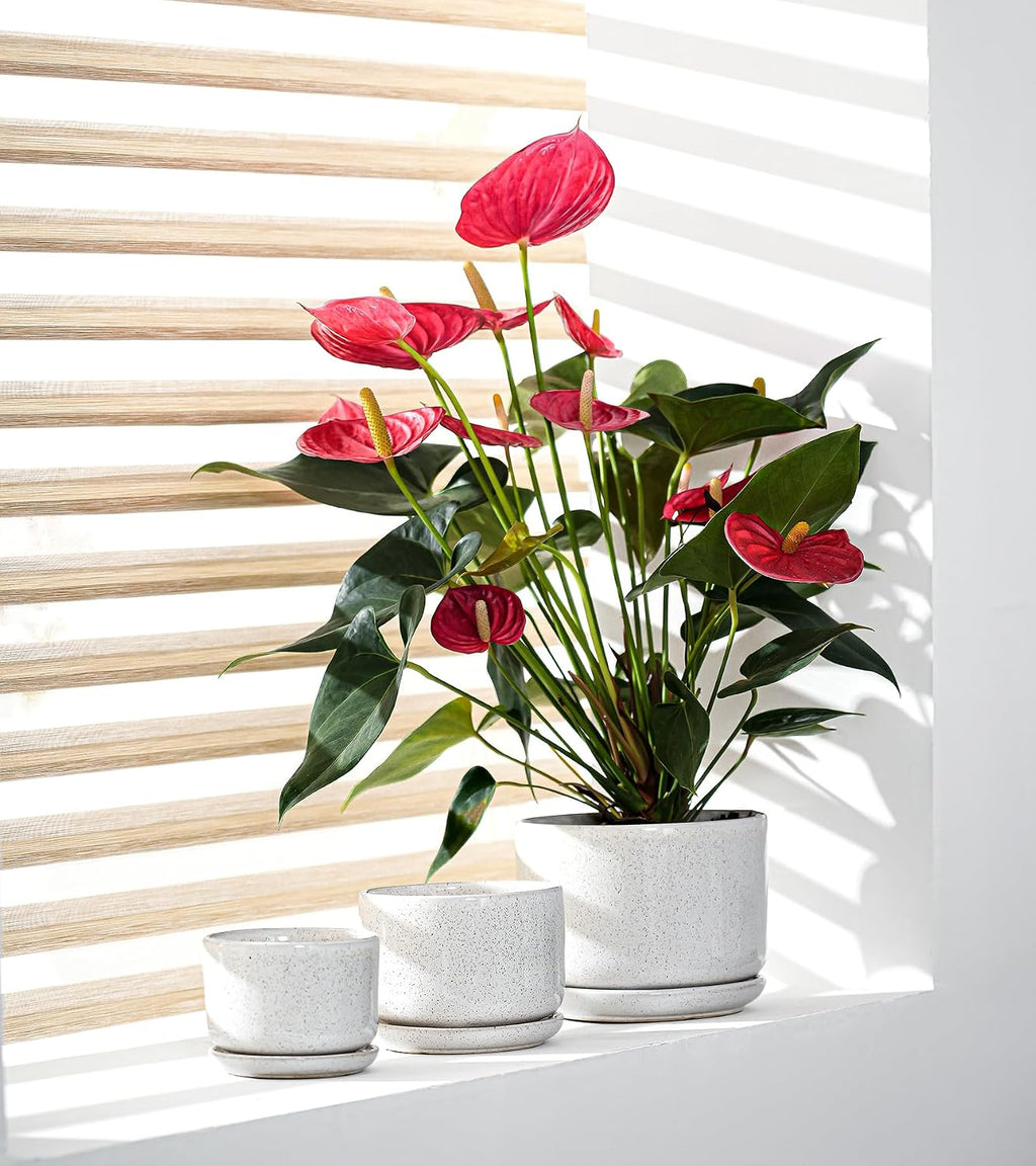 Ceramic Planters,Plant Pots with Saucers Set of 3(Reactive Glaze White) | Colorful Ceramic Planters for Indoor Plants