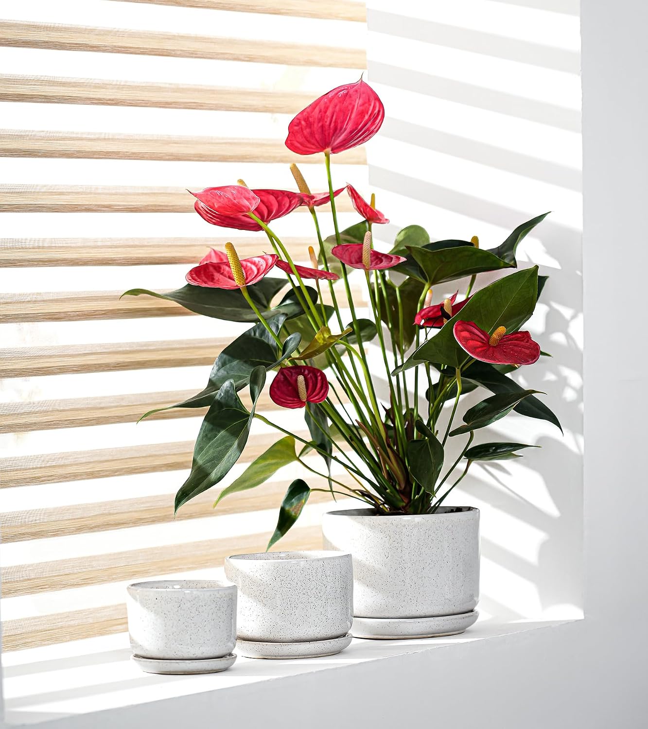 Ceramic Planters,Plant Pots with Saucers Set of 3(Reactive Glaze White) | Colorful Ceramic Planters for Indoor Plants