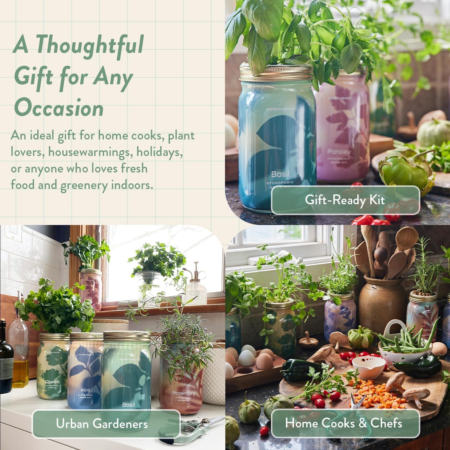 Modern Sprout Garden Jars + Smart Growbar Bundle- Basil, Rosemary & Parsley | Self-Watering Hydroponic Herb Growing Kit