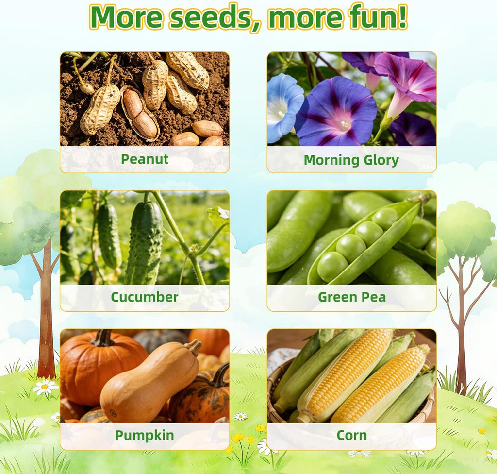 TitaniX Root Viewer Kit for Kids with 6 Seed Varieties, STEM Science Toy & Craft Growing Kits for Boys & Girls, Grow