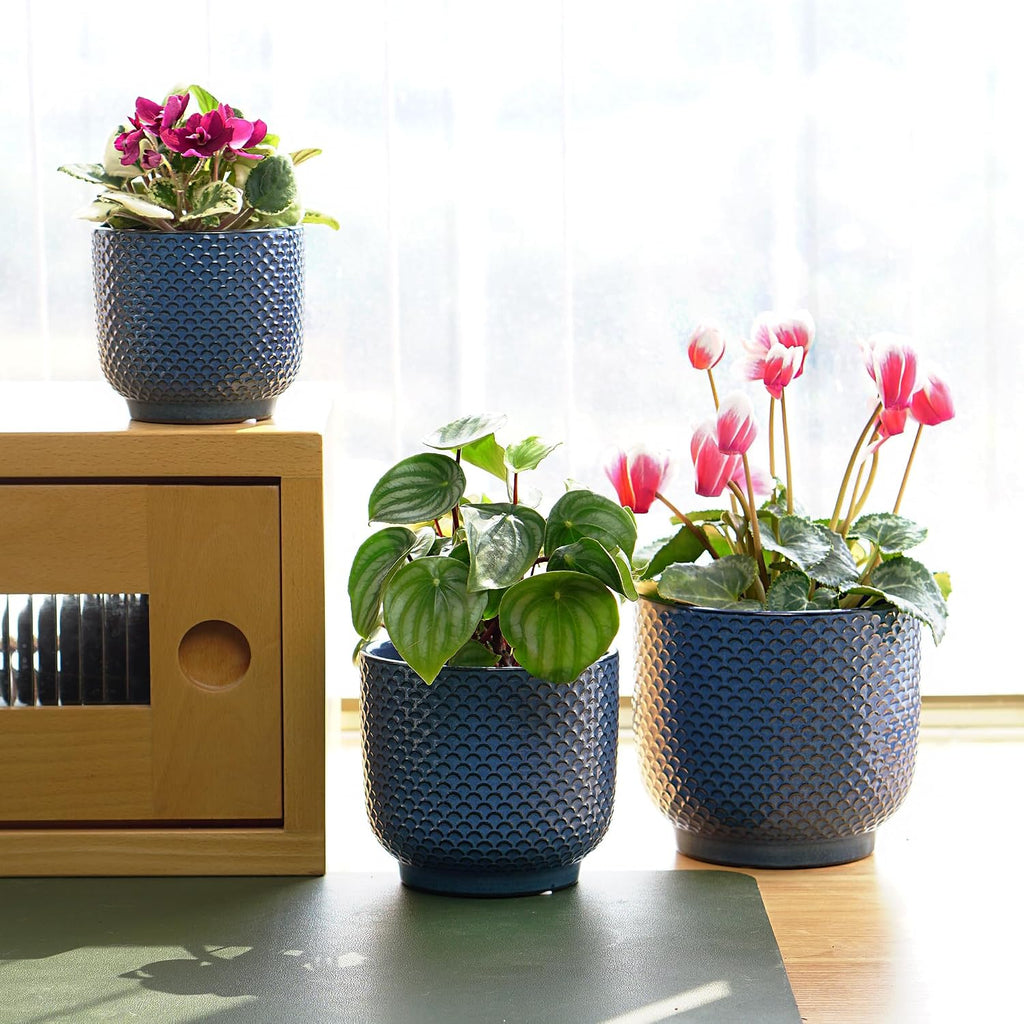 4 + 5 + 6 Inch Ceramic Pots for Indoor Plants, Succulents Plant Pots, Orchid Flower Pot with Drainage Hole, Modern Clay