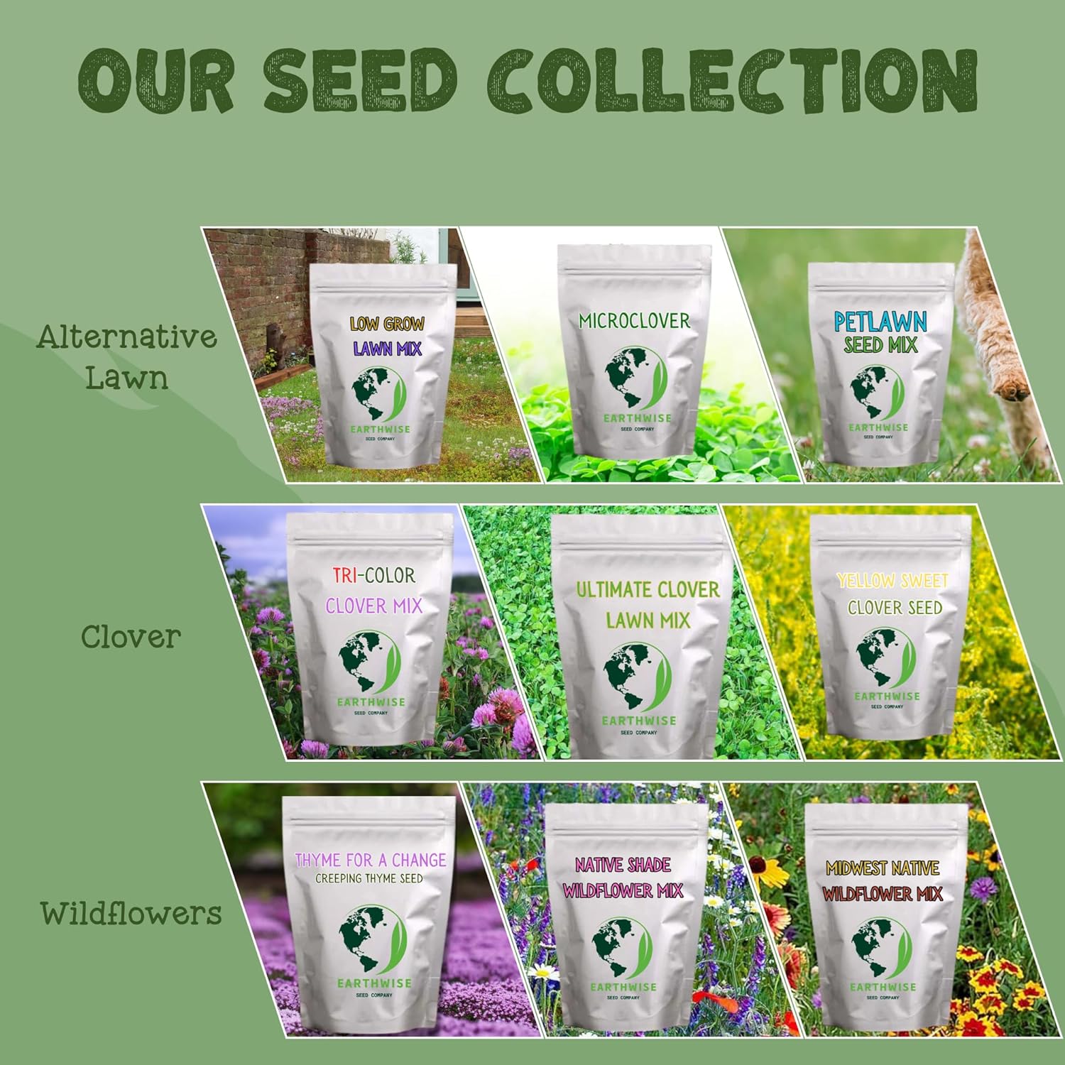 Earthwise Hummingbird Haven Wildflower Seed Mix - 1/2 lb, 1,200 sq ft | Attracts Hummingbirds, Nectar-Rich Blooms