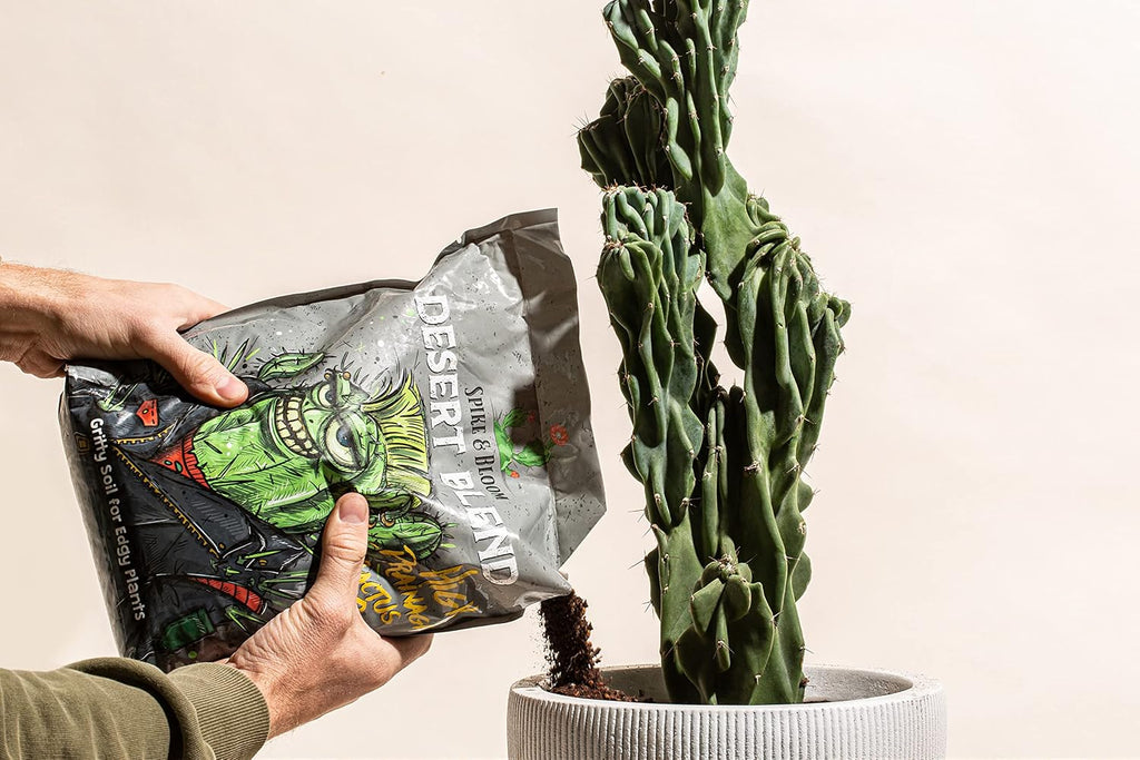 High Drainage Cactus Soil Potting Mix with Mycorrhizal Fungi - 8 Pounds / 4 Quarts of Soil for Succulents and Cactus