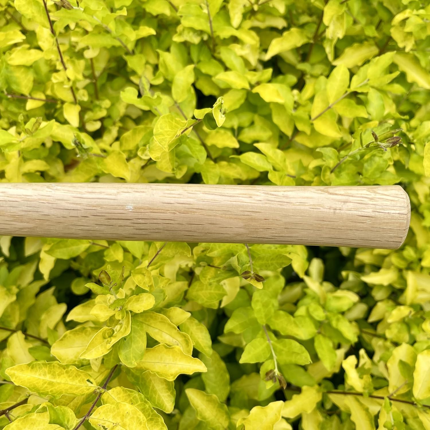 14 inch Japanese Hand Tiller/Rake for Garden, 3-tines Cultivator, Without Welding, Oak Handle, for Digging, Soil