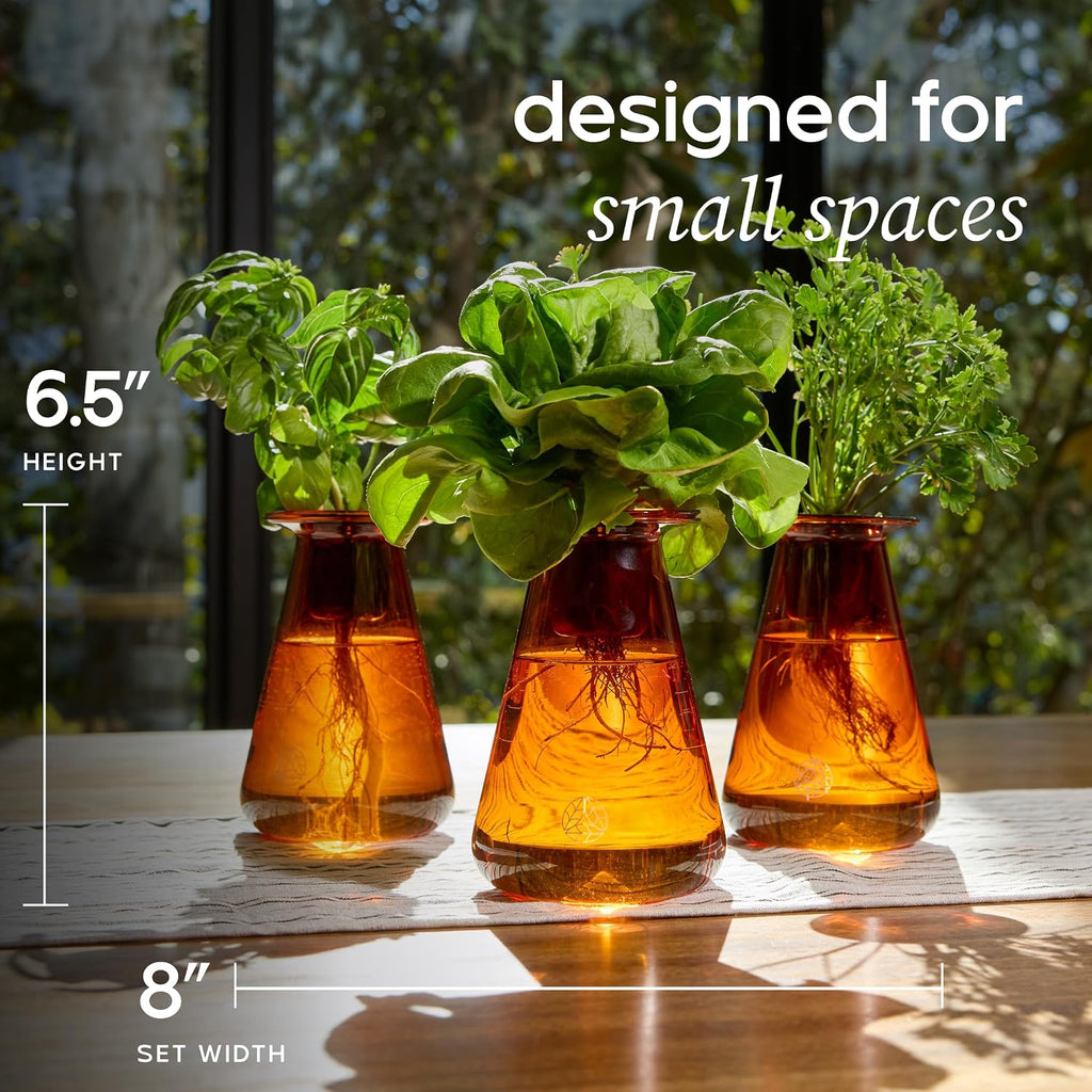 Counterstand Hydroponic Garden, Indoor Gardening System Hydroponics Growing System Kit, Herb Garden Planter Indoor Kit