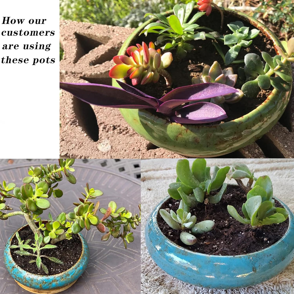 ARTKETTY Succulent Pot, 10 Inch Large Succulent Planter Pot with Stand, Ceramic Bonsai Pot with Mess Drainage Screen