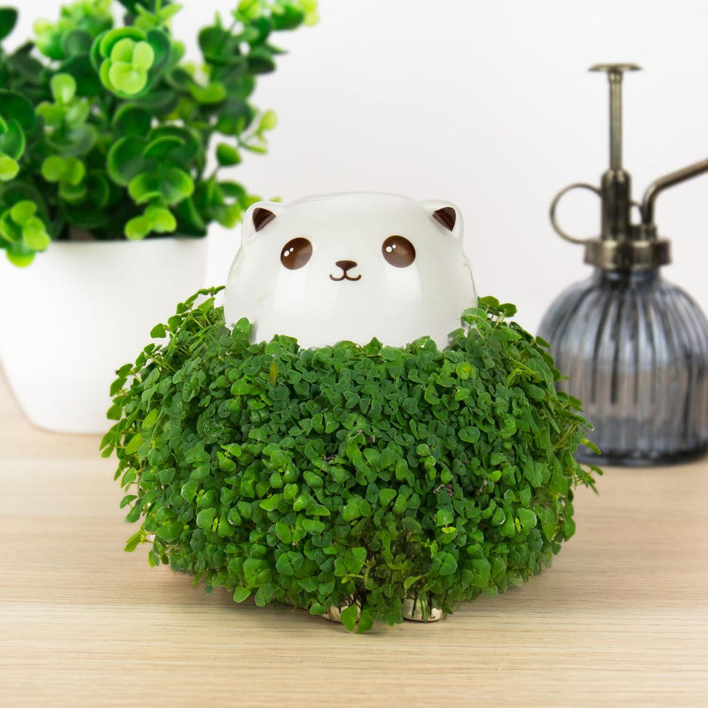 Gift Republic Cat Chia Planter Desktop Sprouting Chia Animal Fun Grow Kit