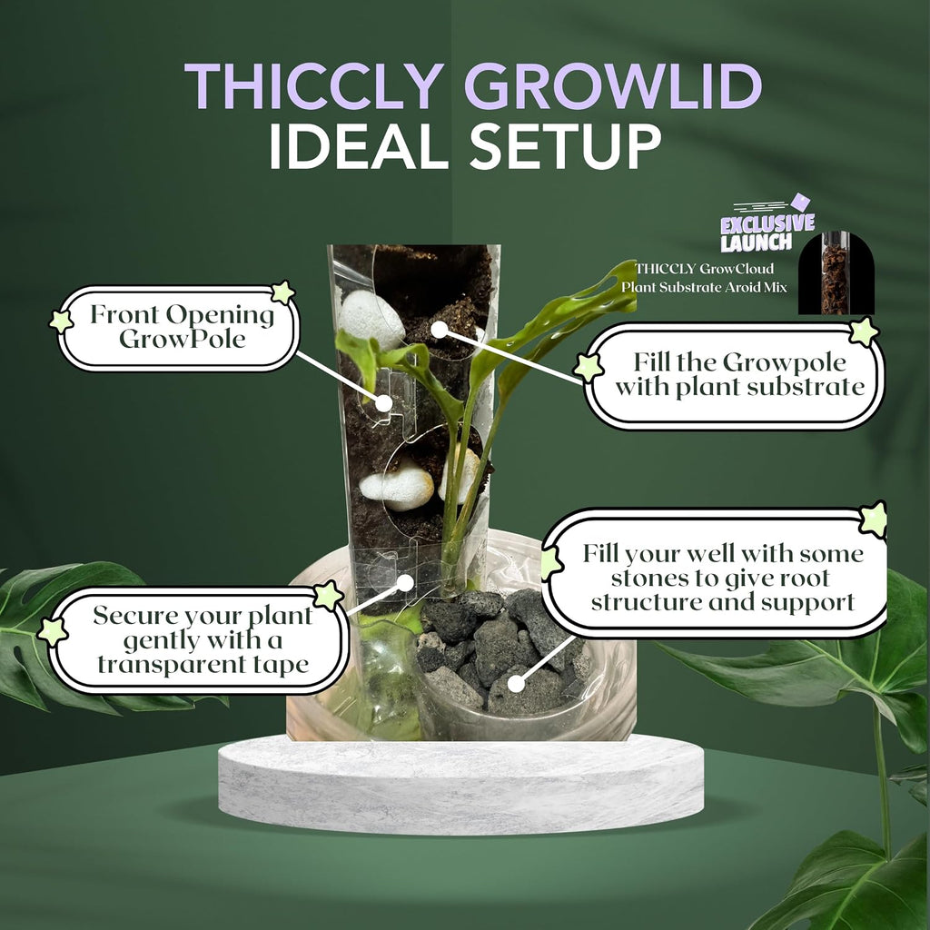 THICCLY Small GrowLid 10 Pcs (Clear) - Self Watering Clear D-Shaped Plastic Moss Pole Hydroponics Growing System Kratky
