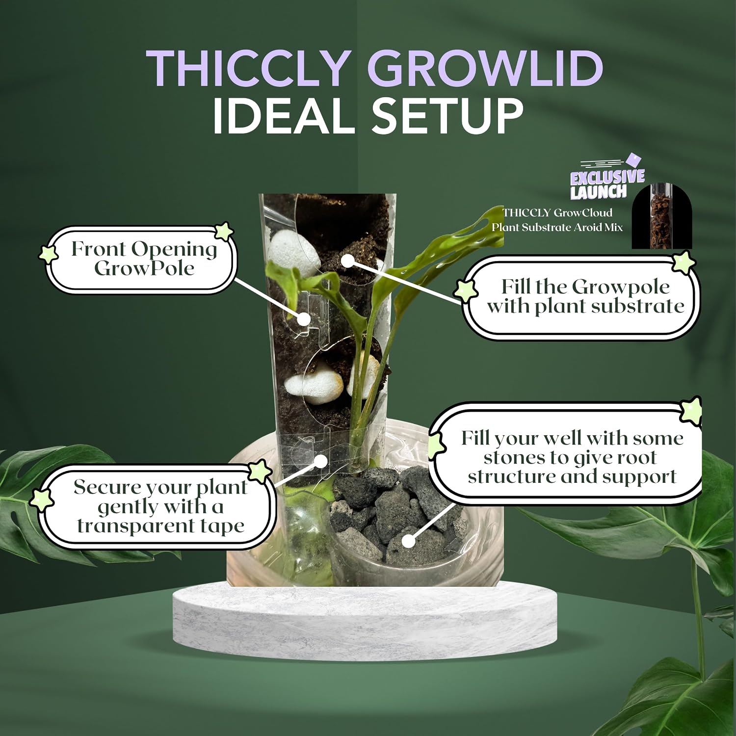 THICCLY Small GrowLid 10 Pcs (Clear) - Self Watering Clear D-Shaped Plastic Moss Pole Hydroponics Growing System Kratky