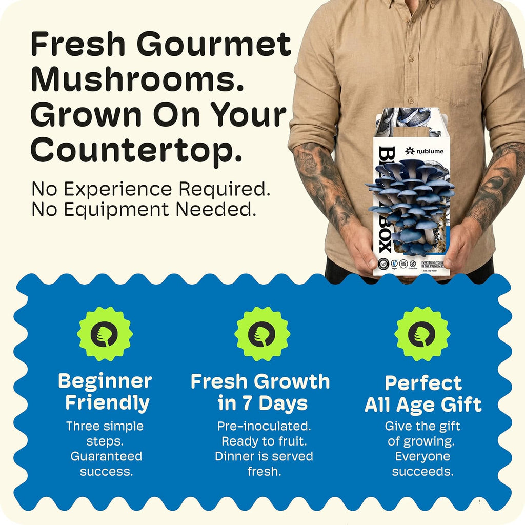 BloomBox Blue Oyster Mushroom Grow Kit – Spray & Grow – Pre-Inoculated Indoor Mushroom Farm – Beginner Friendly –