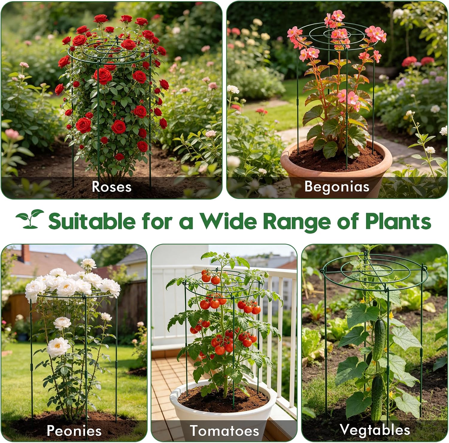 KEOHOLI 8 Pack 11.5" Dx24 H Pack Peony Cages Set Higher Peony Cages and Supports Heavy Duty Metal Plants Support Cage