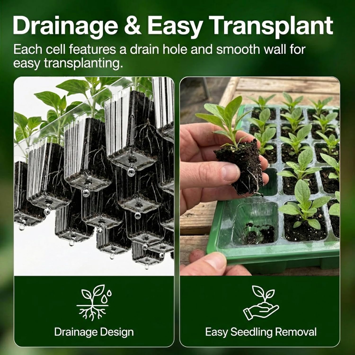 Gardzen 10 Pack 40 Cell BPA Free Seed Starter Tray Kit | Reusable Plant Germination Trays, Adjustable Vents, Sowing