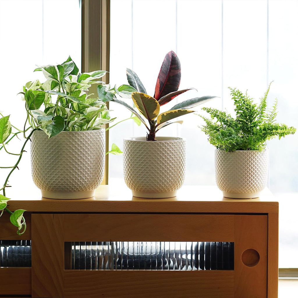4 + 5 + 6 Inch Ceramic Pots for Indoor Plants, Succulents Plant Pots, Orchid Flower Pot with Drainage Hole, Modern Clay