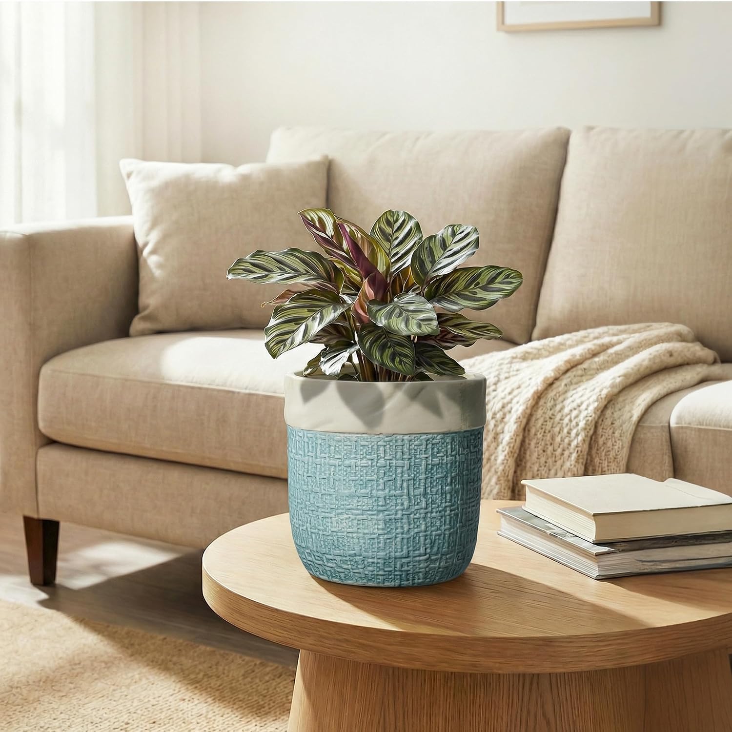 Ceramic Pots for Plants - 6 Inch Plant Pot for Indoor Succulent Plants, Round Planters with Drainage Hole, Decorative
