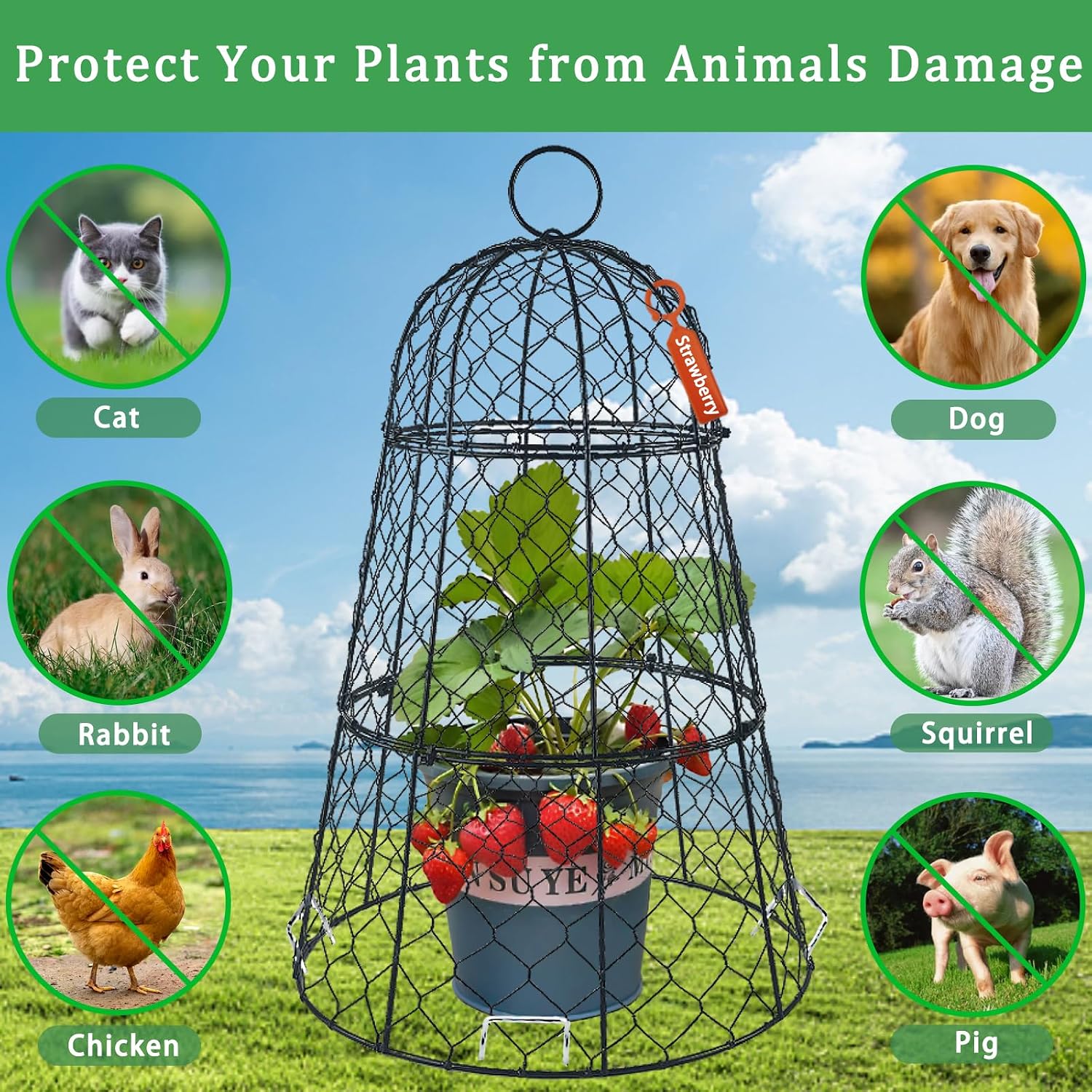 6 PCS 17.7"H X11.42"D Chicken Wire Plant Covers Protectors, Rustproof Heavy Duty Metal Plant Cage with Stakes & Labels