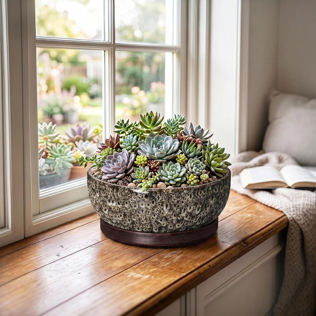 Bonsai Pots, 8 Inch Ceramic Succulent Pot with Saucer, White Leopard | Bonsai Planter for Indoor Plants, Round Shallow