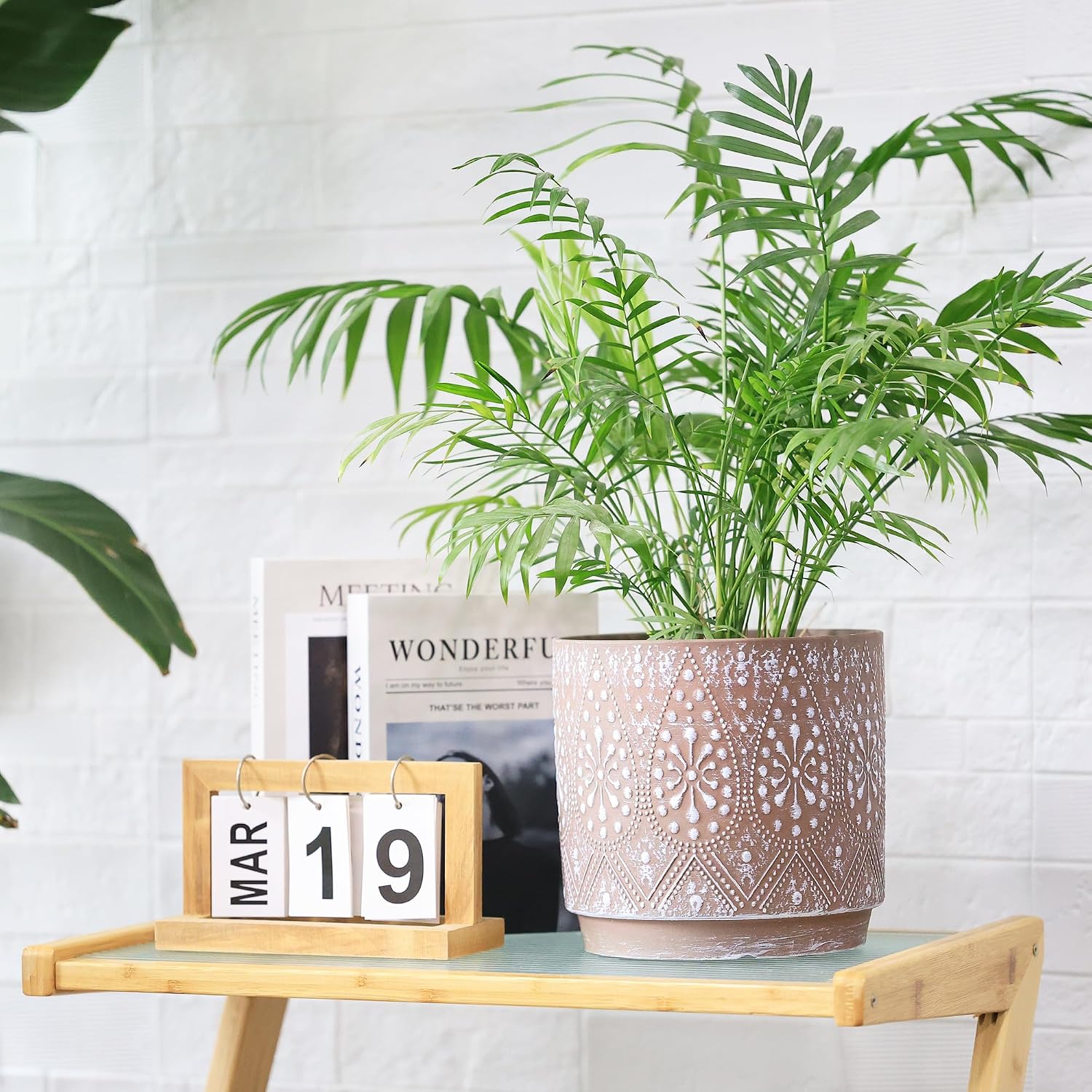 8 Inch + 6 Inch Plant Pot with Drainage Holes and Saucers, Indoor Ceramic Planter for Plants Succulent Orchid Flower