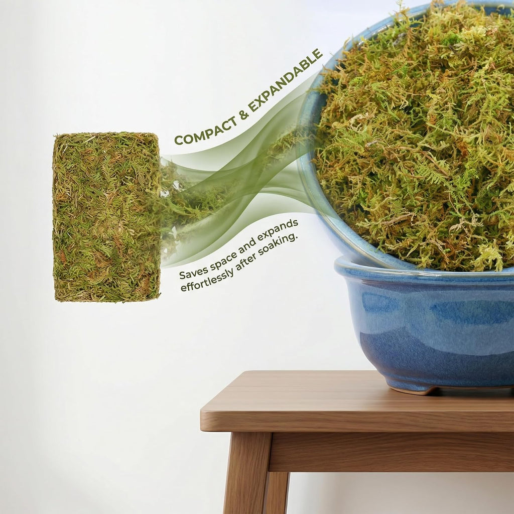 2.5 LB Sphagnum Moss for Plants, Long Fiber Orchid Moss for Carnivorous Plants, Terrariums and Indoor Potting