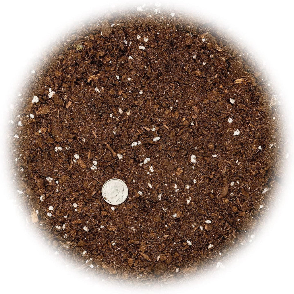 Citrus Tree Potting Soil Mix, Special Blend for Indoor Oranges, Lemons, Limes and More - (4 Quart Bag)