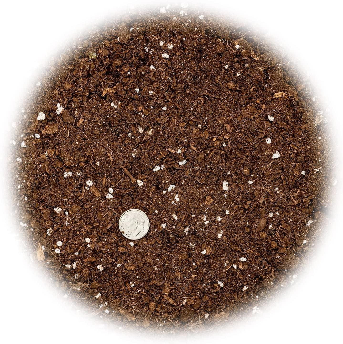 Citrus Tree Potting Soil Mix, Special Blend for Indoor Oranges, Lemons, Limes and More - (4 Quart Bag)