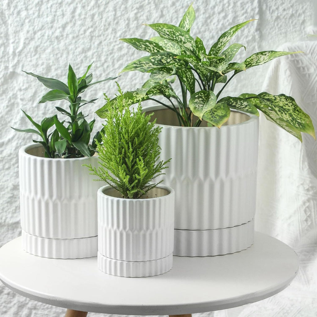 HASENSE Plant Pots - 8+6+4.6 Inch White Vertical Textured Ceramic Planters Set of 3 with Drainage Hole, Decorative