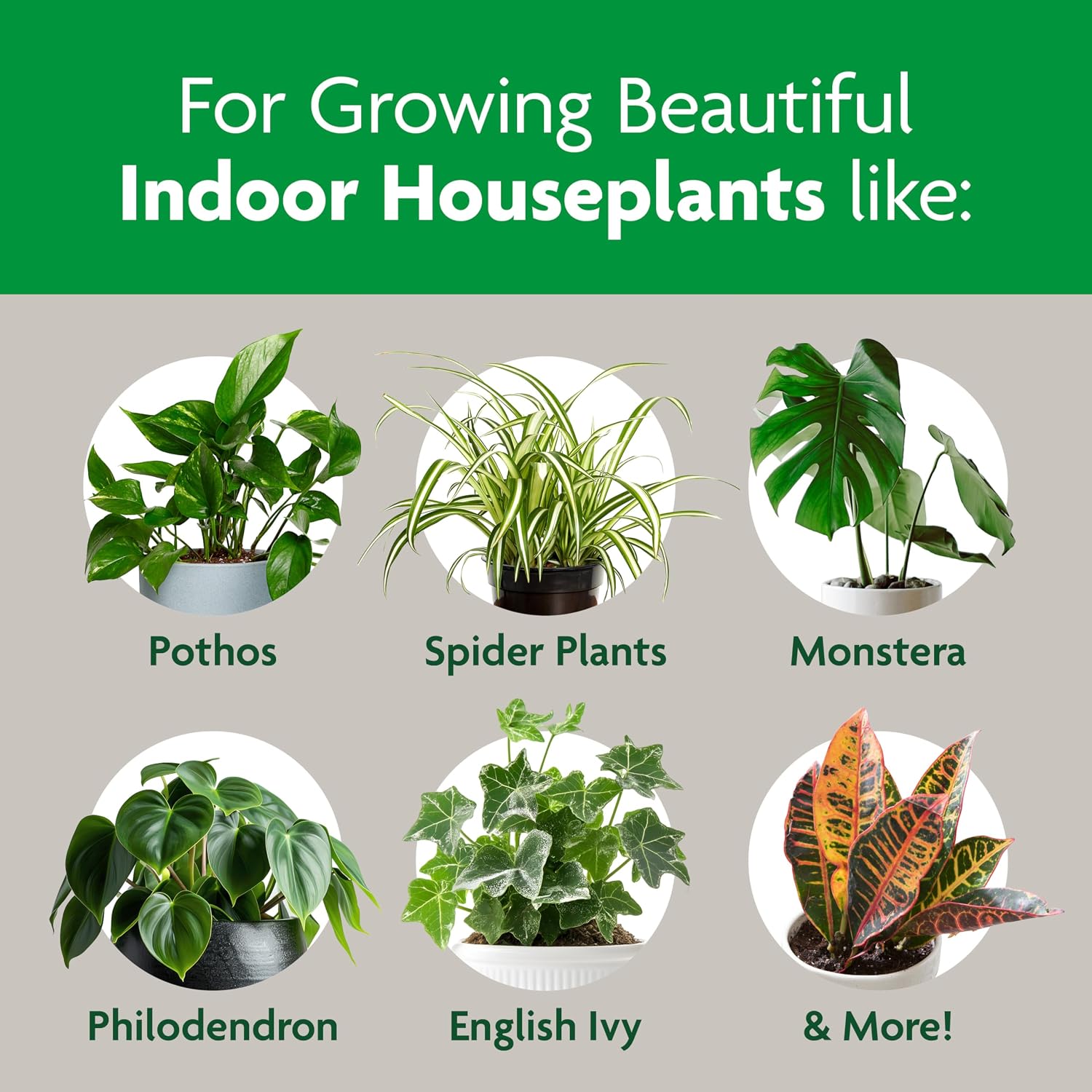 Gro Indoor Potting Mix, Blended for a Variety of Houseplants, Feeds for up to 6 Months, 6 qt., 3-Pack