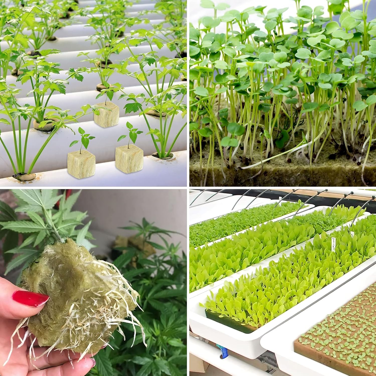 2 Inch Rockwool Cubes for Hydroponics Seed Starter, Rock Wool Planting Cubes Hydroponic Garden Grow Plugs for Soilless
