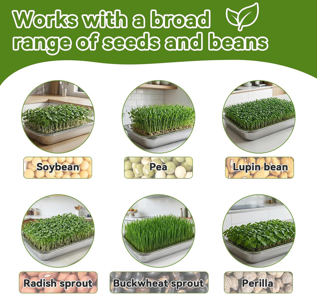 2 Pcs Stainless Steel Seed Sprouting Trays with Towel & Gauze (10.6 x 7.8) | 2-Tier Soil-Free Microgreens Growing Kit