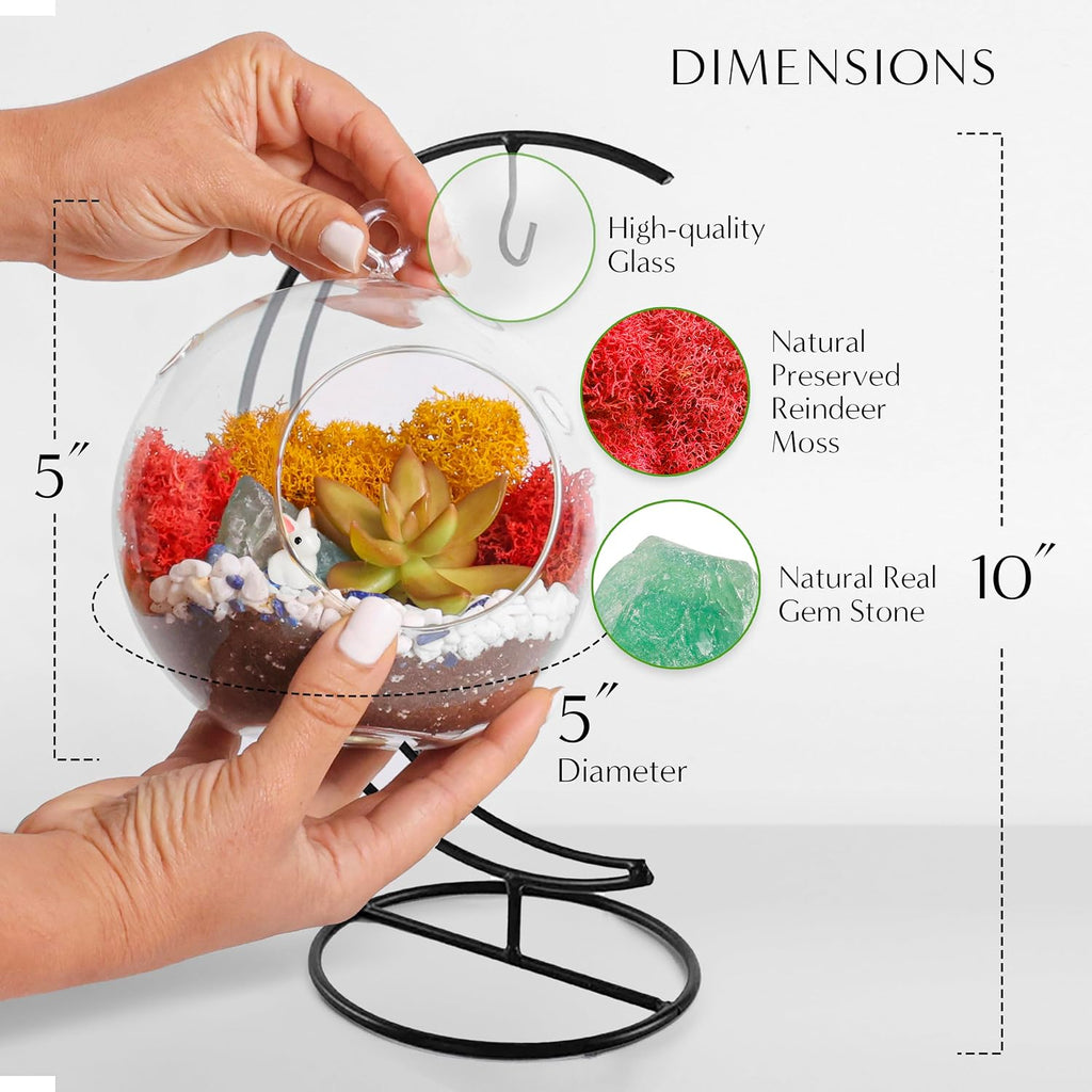 Creations by Nathalie - 5" Glass Globe Succulent Terrarium Kit, Hanging DIY Starter Kit for Kids and Adult, Metal