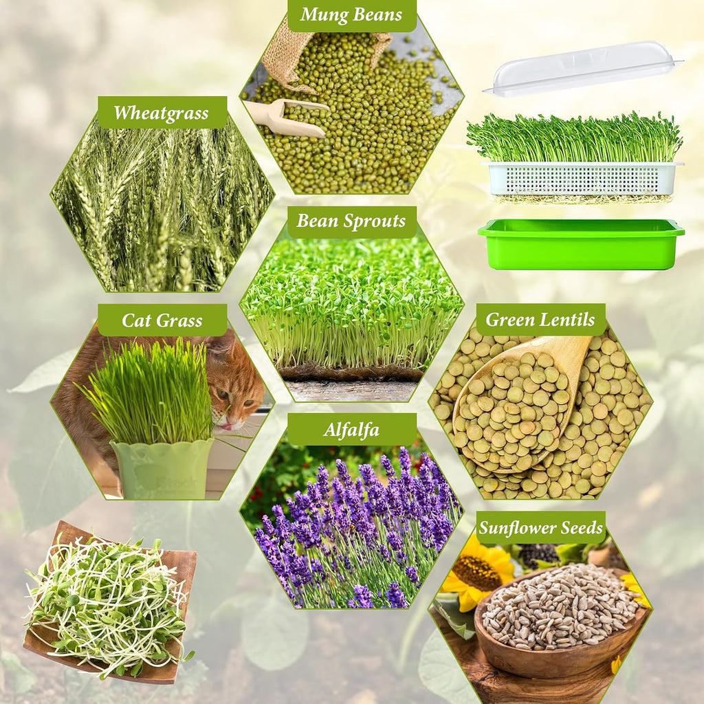 8 Pack Seed Sprouter Trays with Lids- Soil-Free Cultivation Germination Tray, BPA Free Micro Greens Growing Trays Seed