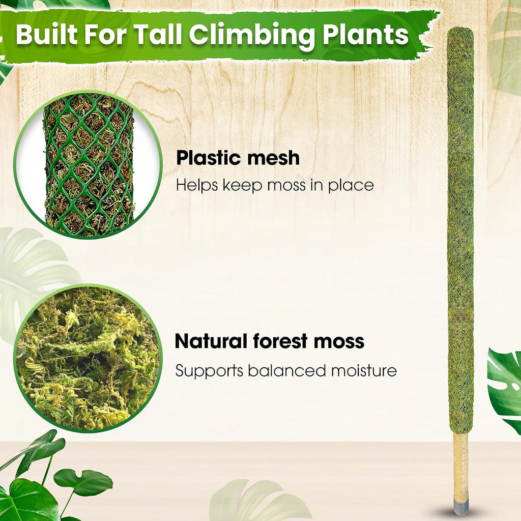 59" Large Green Mesh Moss Pole Monstera Plant Support, (1pc., 59'') | Rigid Stakes for Indoor Plants with Real Forest
