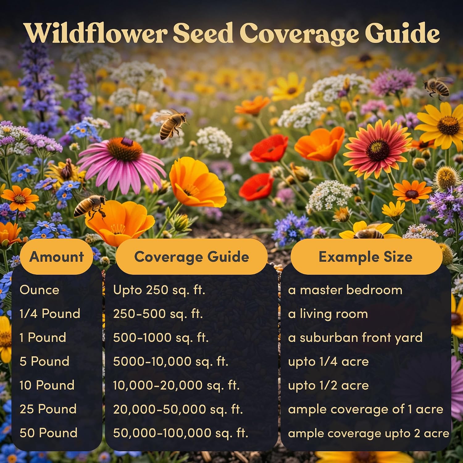 Bulk Wildflower Seed Mix – Honey Bee Wildflower Seed Mix 1 Pound Tub by GevaGrow | Bulk 300,000+ Seed Tub | 19 Variety