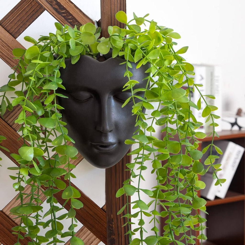 Notakia Face Planter Pot Wall Mounted Outdoor/Indoor Planter with Drainage for Succulents, Cactus, and Small Plants