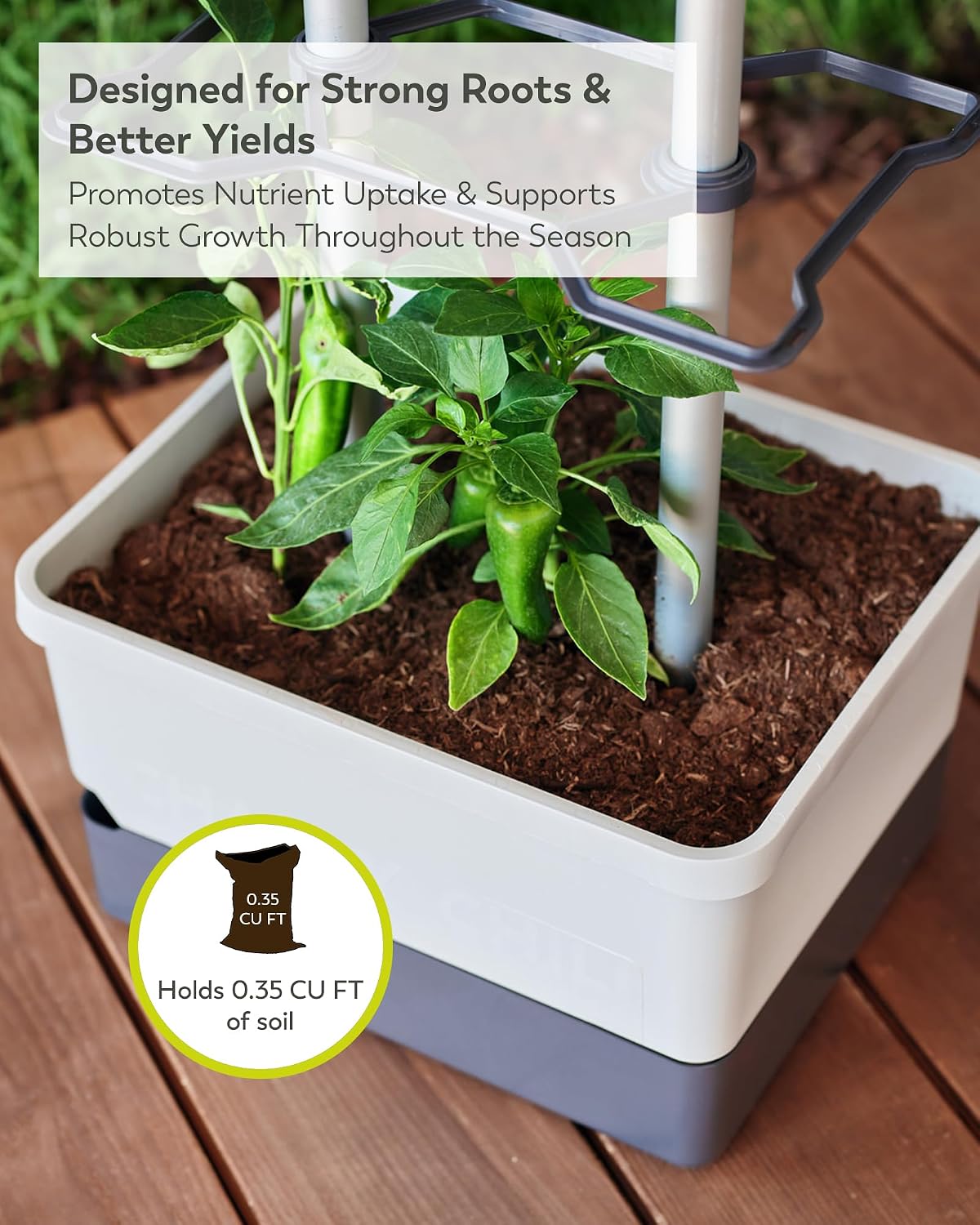 BUZZY Seeds Charly Chili Self-Watering Planter, Trellis, 1.2 Gal, Gray | Self-watering planter, aluminum trellis &