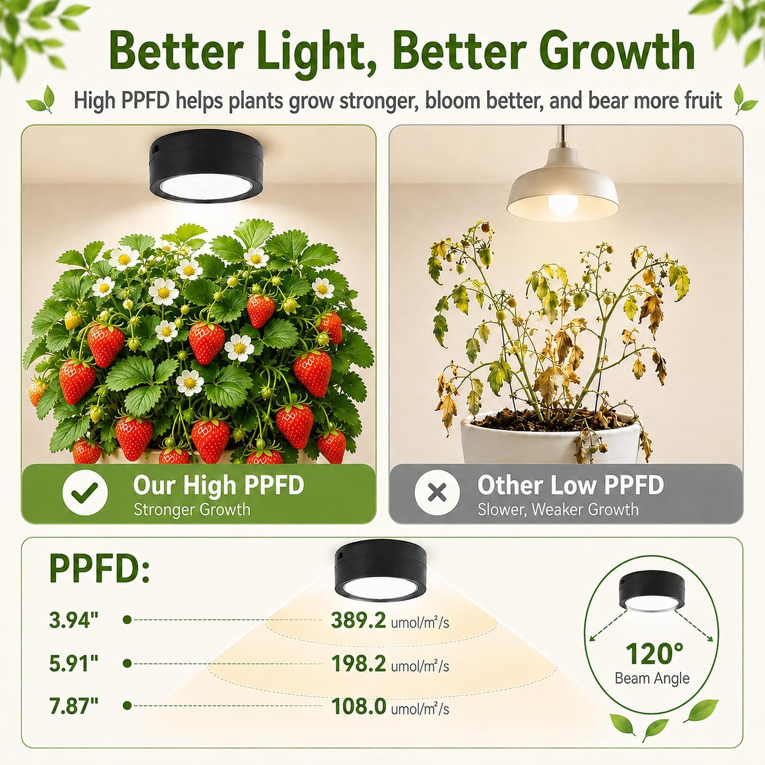 3-Pack Rechargeable Grow Lights for Indoor Plants, Cordless Plant Grow Lamp | Wireless Full Spectrum LED Plant Light