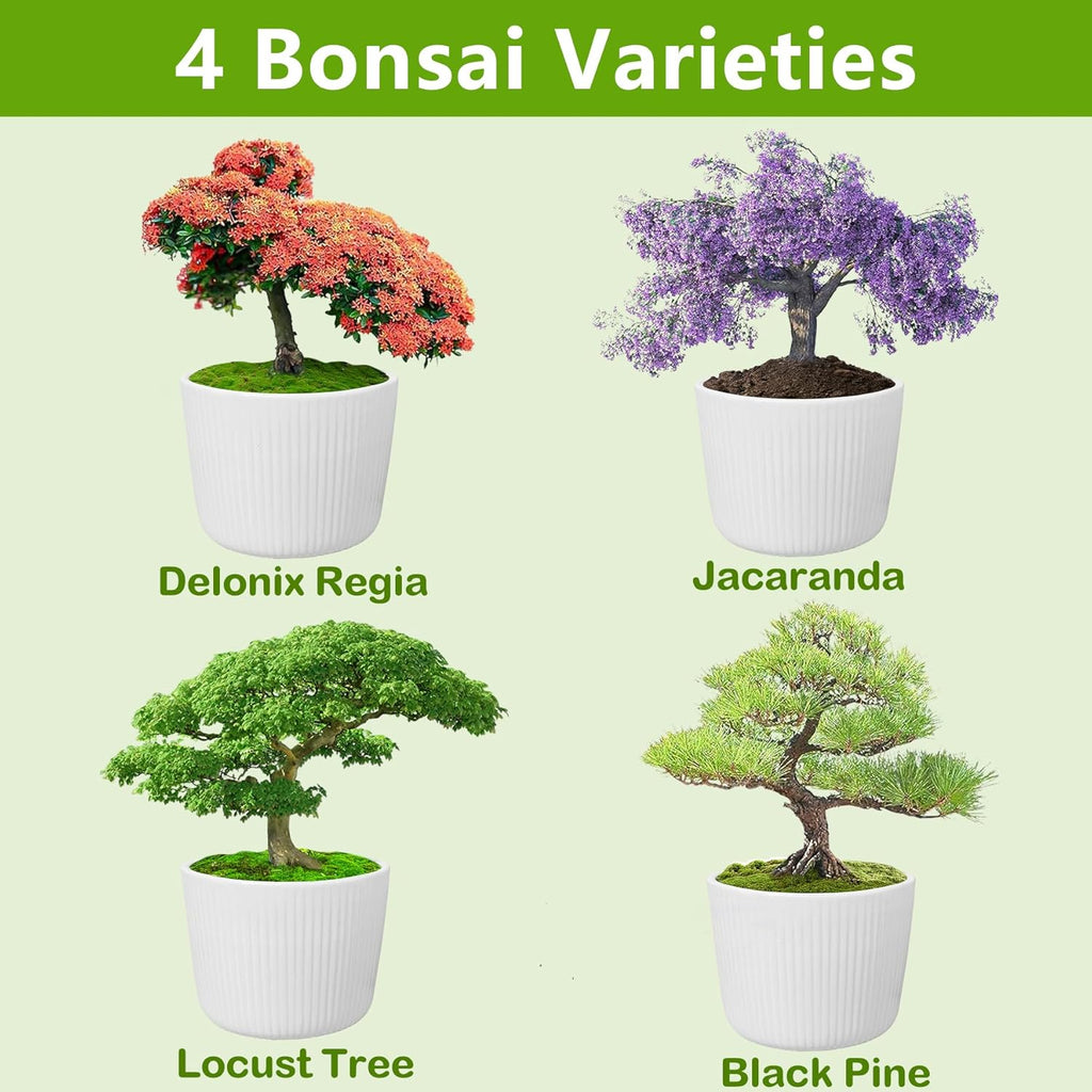 Bonsai Tree Kit, Bonsai Starter Kit with Seeds & Tools, Tree Live Plants Indoor, Gardening Gifts for Women Men Mom