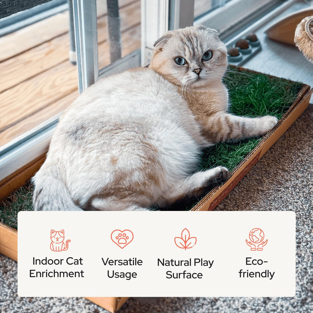 Kitty Lawn Real Grass Cat Lounger & Bed - Natural Grass Pad for Cats 24x9 | USA-grown real grass lounging pad for