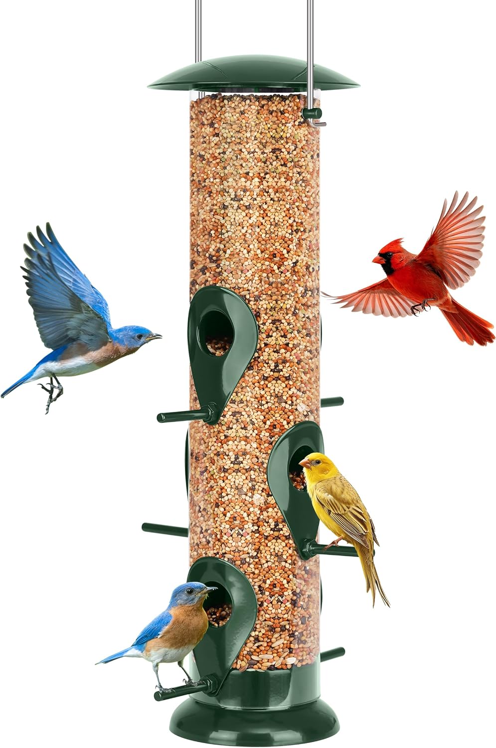6-Hook Bird Feeding Station with Squirrel Baffle, 94 Inch
