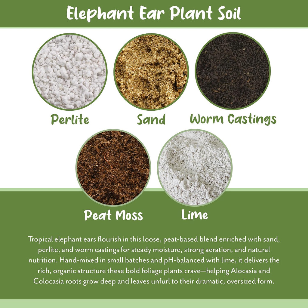 Soil Sunrise Elephant Ear Potting Soil Mix (8 Quarts) Colocasia and Alocasia Potted Plant Blend