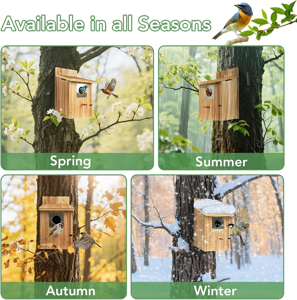 2 Pack Bird Houses for Outside, 1-1/2" Entrance Cedar Birdhouse | Outdoor Bird House with Metal Predator Guard