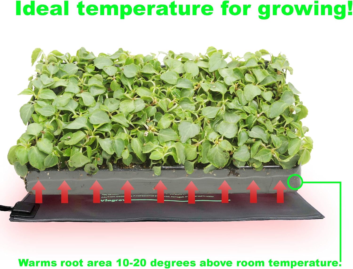 Viagrow VSEEDMAT 20.5 in. x 8.5 in. Seed Propagating Seedling Heat Mat, 20.5 x 8.5/Large