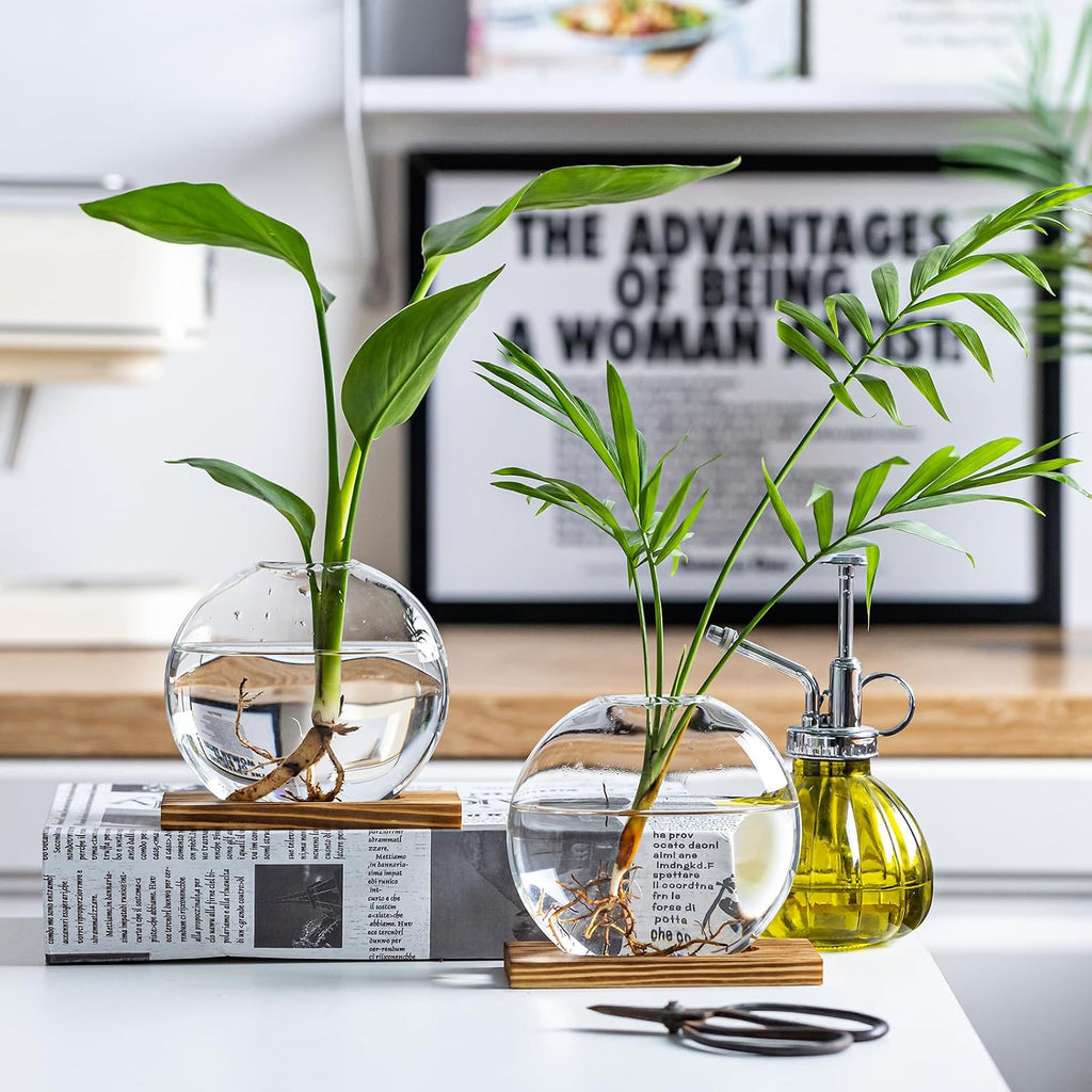 Glass Planter Propagation Station with Wooden Base - Clear Oblate Hydroponic Vase, Decorative Desktop Flower Vase for