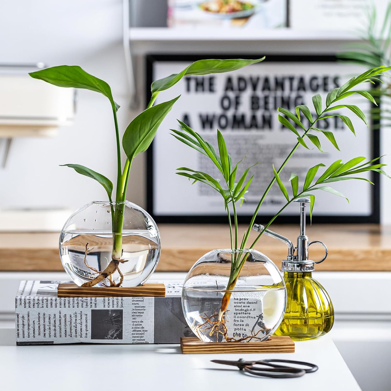 Glass Planter Propagation Station with Wooden Base - Clear Oblate Hydroponic Vase, Decorative Desktop Flower Vase for