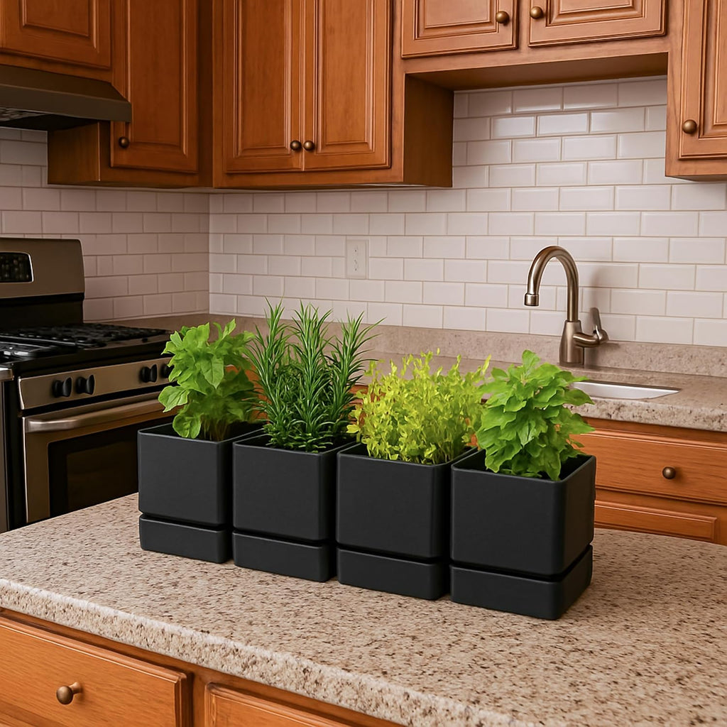D'vine Dev 4-Pack Plastic Herb Planter Pots, 4 in, Black, 76-Y-B4-1 | Sleek Minimalist Style, Window Herb Garden
