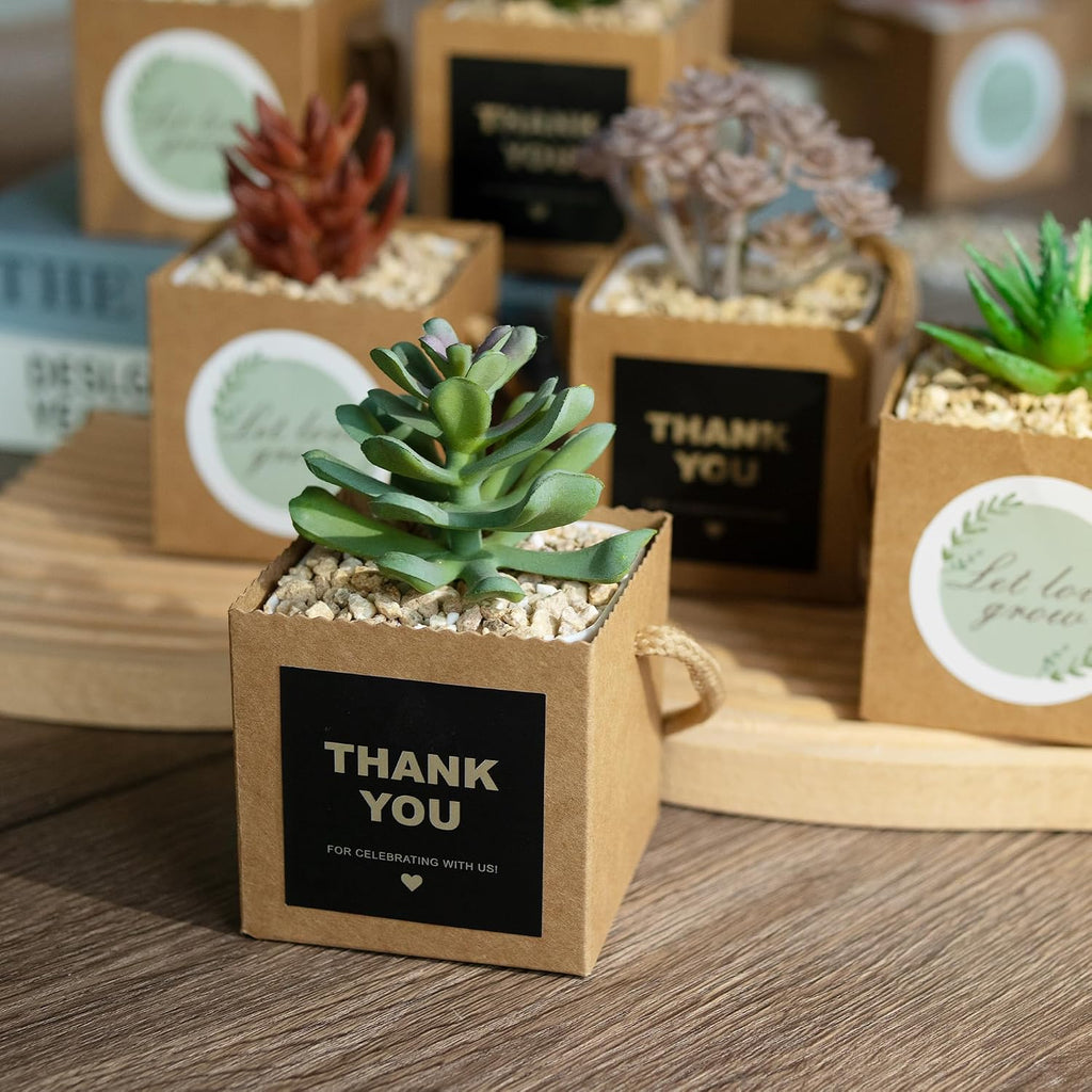 Temlum 2.5 Inch Succulent Wrap Bags (Fits 2.5″ Pots) with Thank You & Let Love Grow Stickers, Small Gift Box for