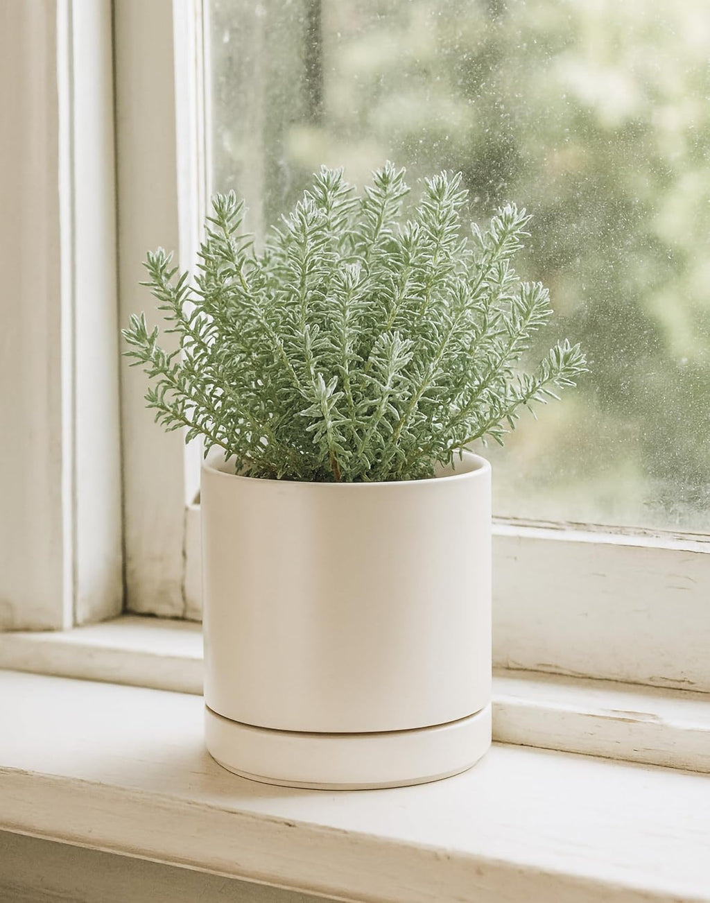 D'vine Dev 6.5 Inch Ceramic Planter Pot, Oatmeal, 94-O-C-8 | Modern Cylinder Design, Drainage Hole & Saucer Included