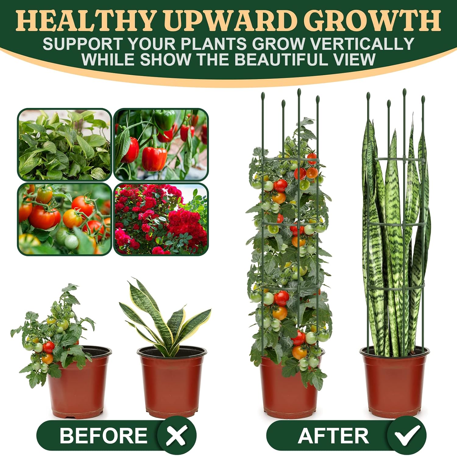 Round Heavy Duty Tomato Cage - 55 Inch Steel Core Plastic Coated Garden Trellis, 4-Post Rustproof Plant Support for