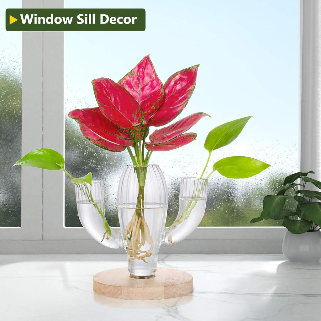 Plant Propagation Stations, Unique Cactus-Shaped Plant Propagating Vase, 3 Independent Areas for Various Plants