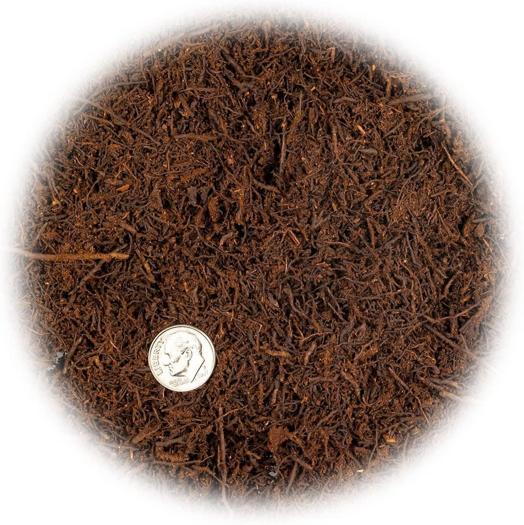 Premium New Zealand Tree Fern by GARDENERA - Orchid and Epiphytal Plants Growing Medium and Reptile Substrate - 3 Quart