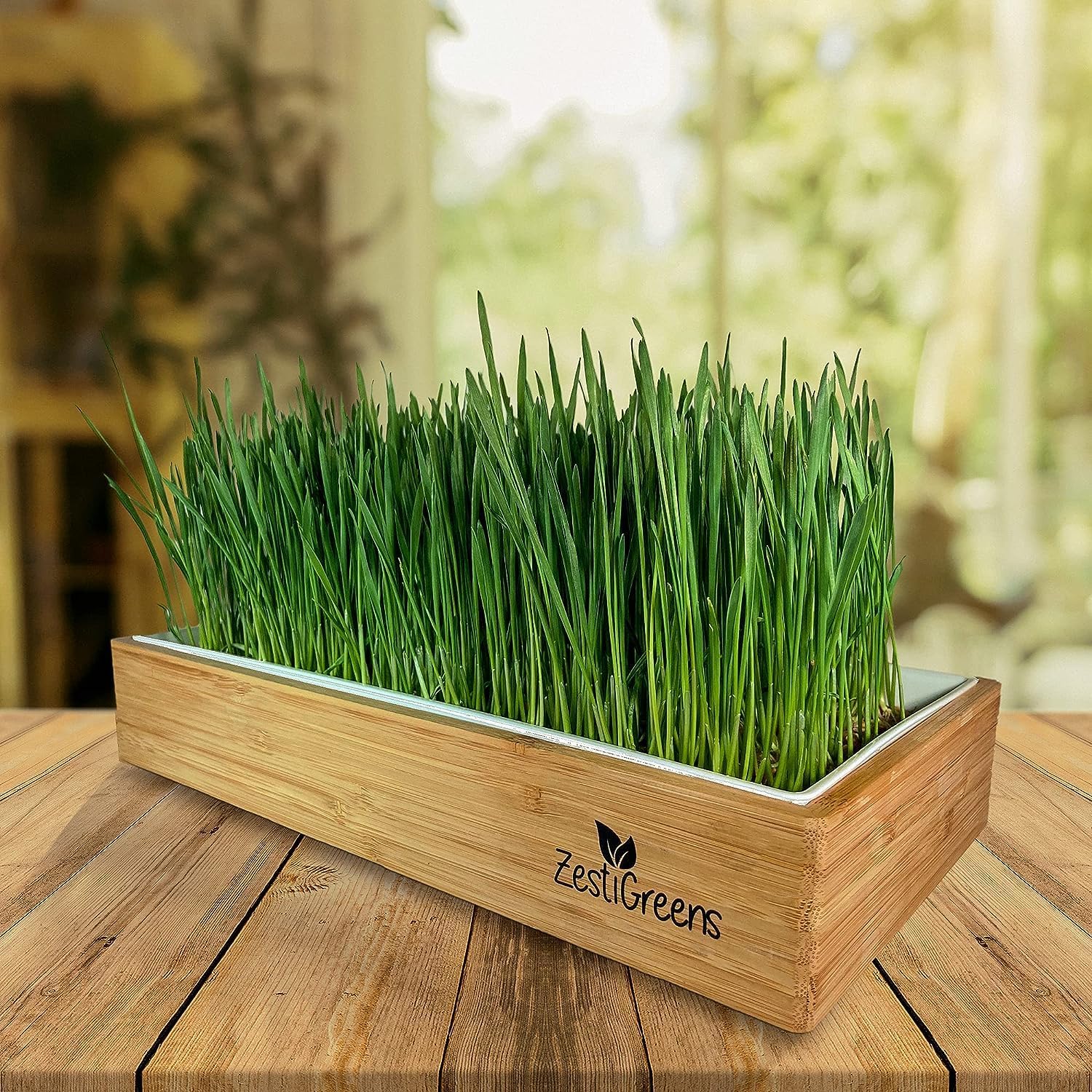 Wheatgrass Growing Kit - Self-Watering Reusable Tray & USA Seeds | Organic kit with soilless grow mats, blackout lid